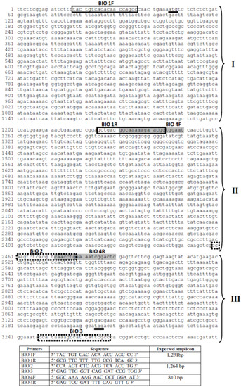 Genes 01 00357 g006 550