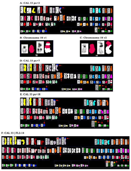 Genes 01 00388 g001 550