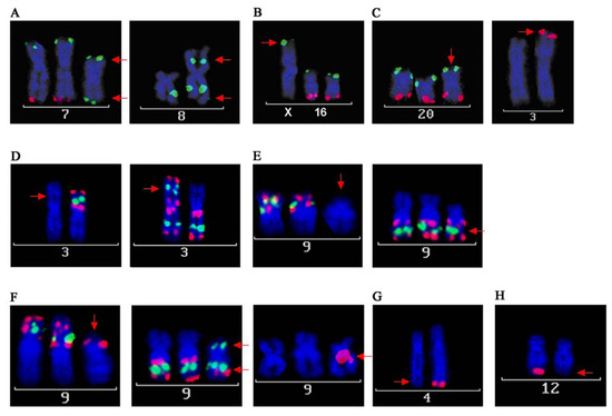 Genes 01 00388 g003 550