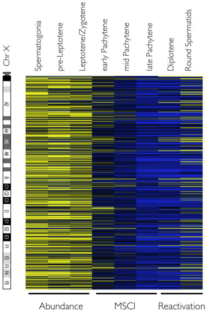 Genes 01 00469 g003 1024