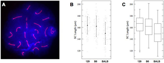 Genes 01 00505 g001 550