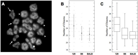 Genes 01 00505 g004 550