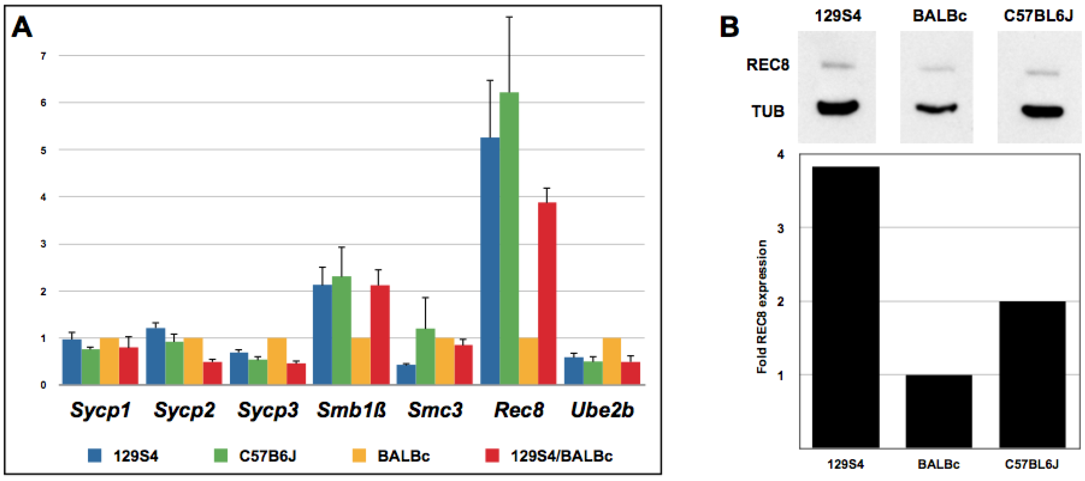 Genes 01 00505 g006