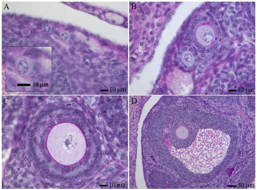 Genes 02 00152f1 1024