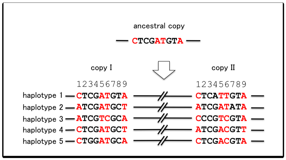 Genes 02 00191f4 1024