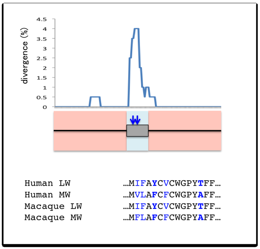 Genes 02 00191f5 1024