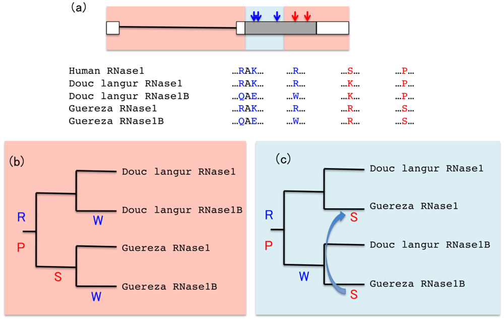 Genes 02 00191f6 1024