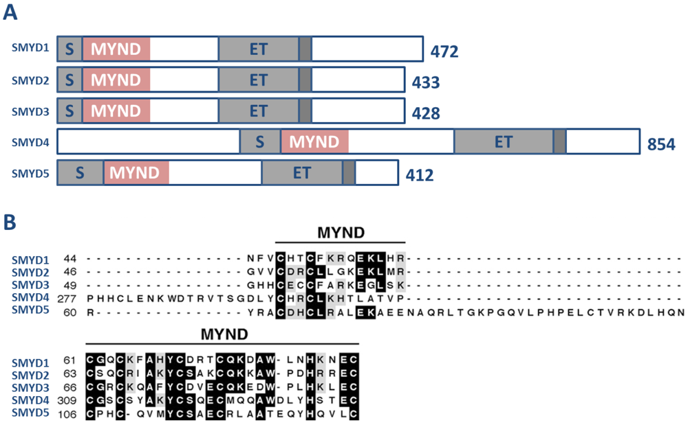 Genes 02 00210f1 1024