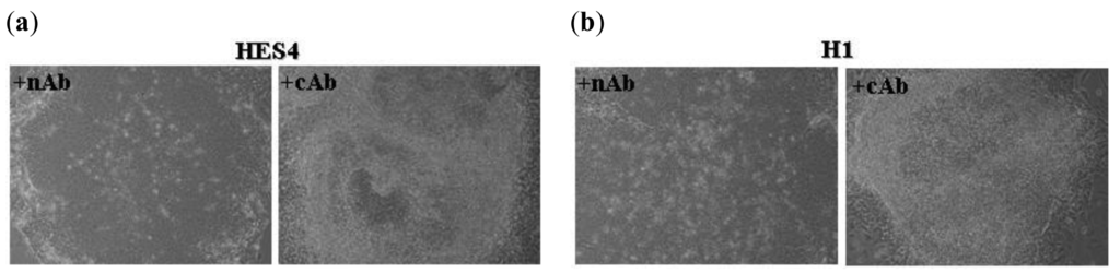 Genes 02 00229f6a 1024