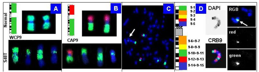 Genes 02 00397f8 1024