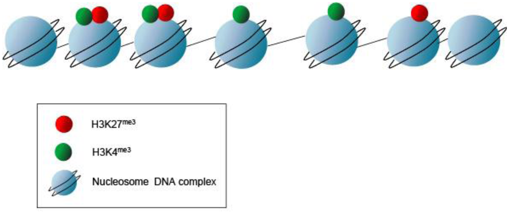 Genes 02 00420f6 1024