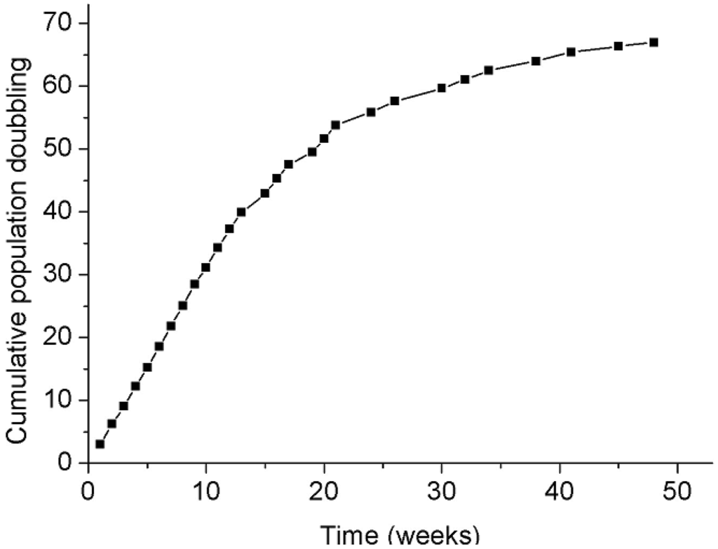 Genes 02 00562f3 1024