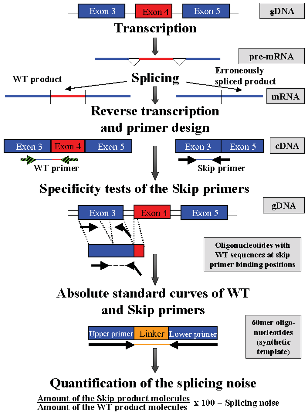 Genes 02 00562f4 1024