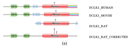 Genes 02 00599f1a 550