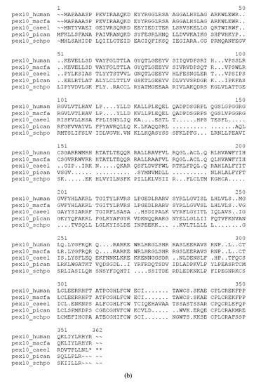 Genes 02 00599f2c 550