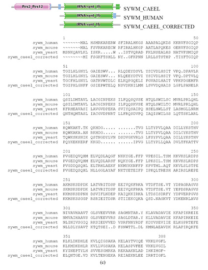 Genes 02 00599f2d 550