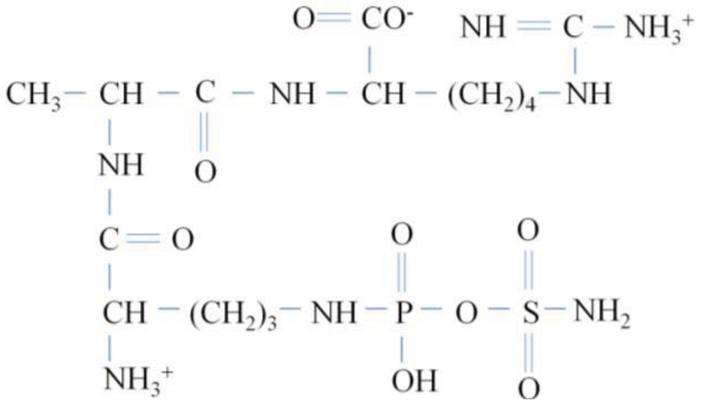 Genes 02 00640f4 1024
