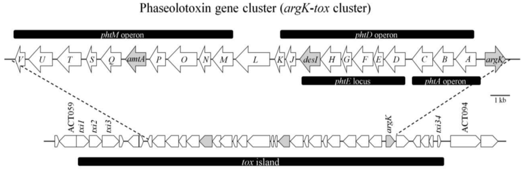 Genes 02 00640f5 1024