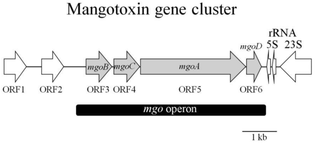 Genes 02 00640f6 1024