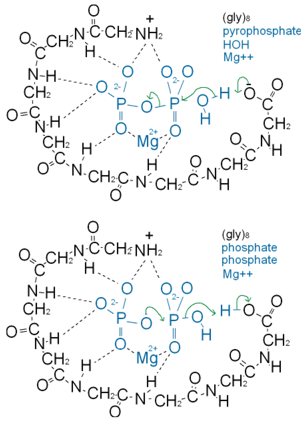 Genes 02 00671f3 1024