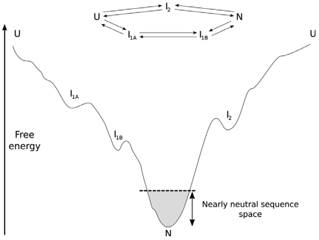 Genes 02 00748f1 1024