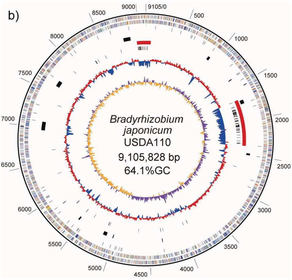 Genes 02 00763f1b 1024