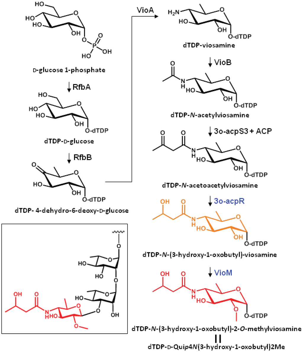 Genes 02 00788f3 1024