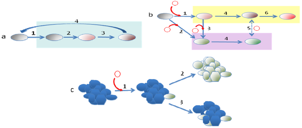 Genes 02 00804f3 1024