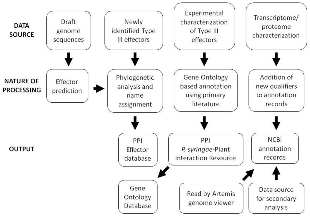 Genes 02 00841f2 1024