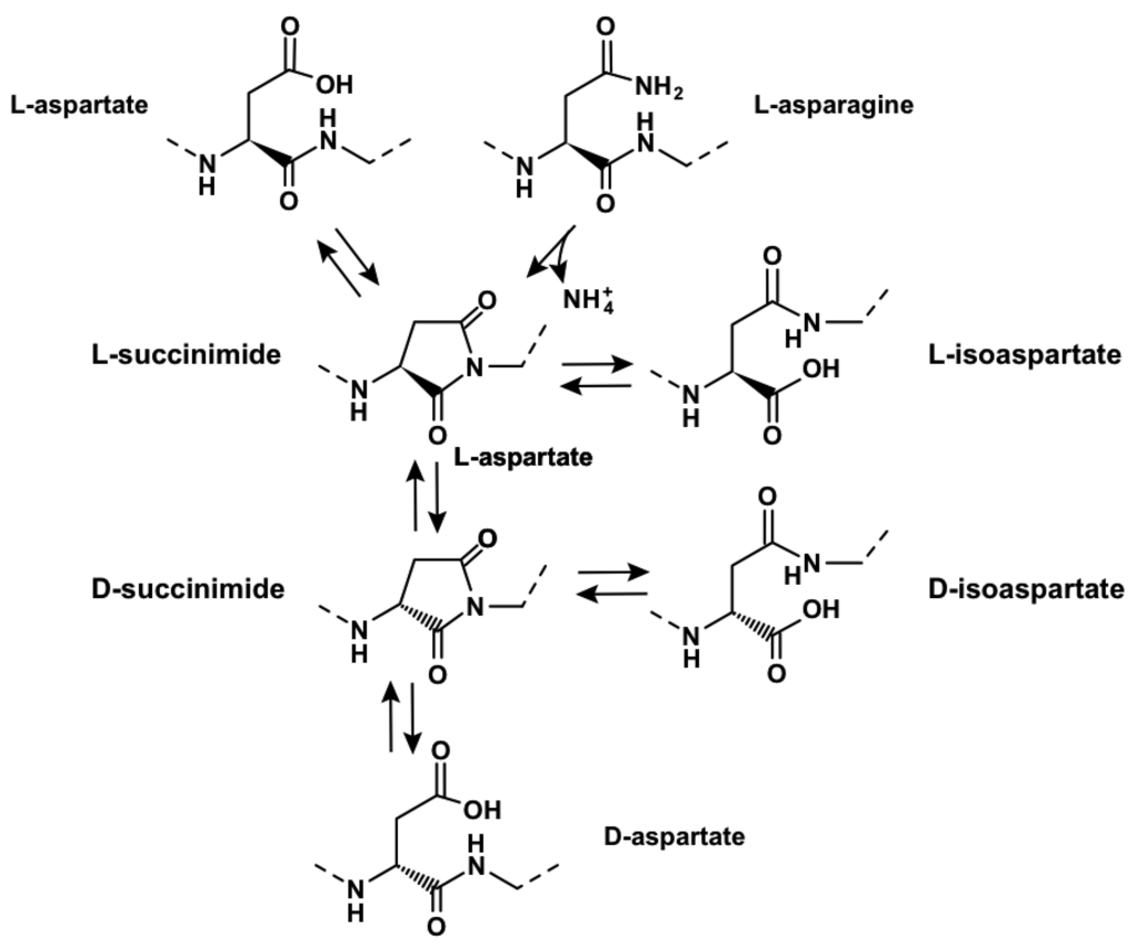 Genes 02 00998f3 1024
