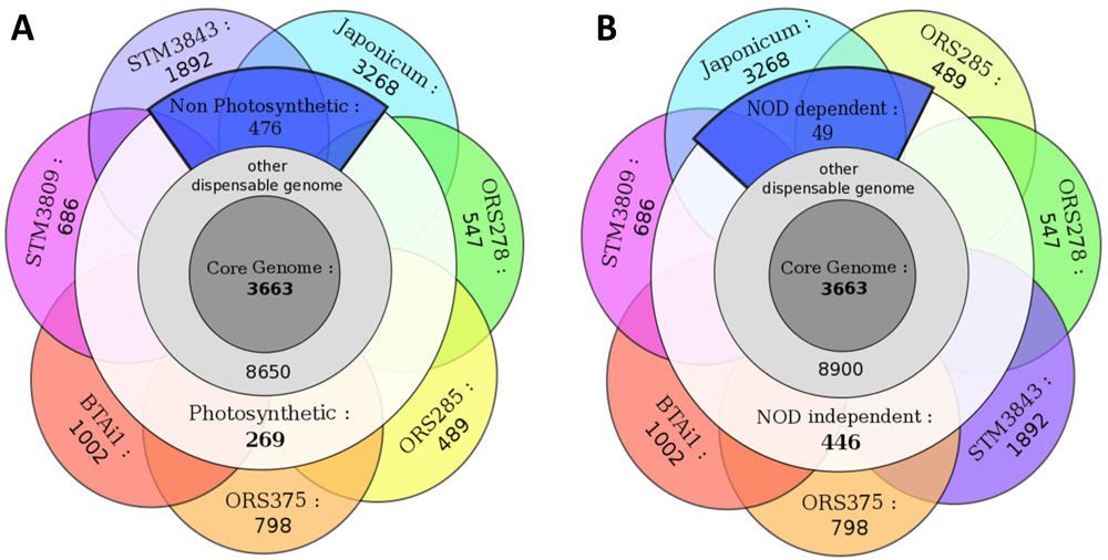 Genes 03 00035 g006 1024