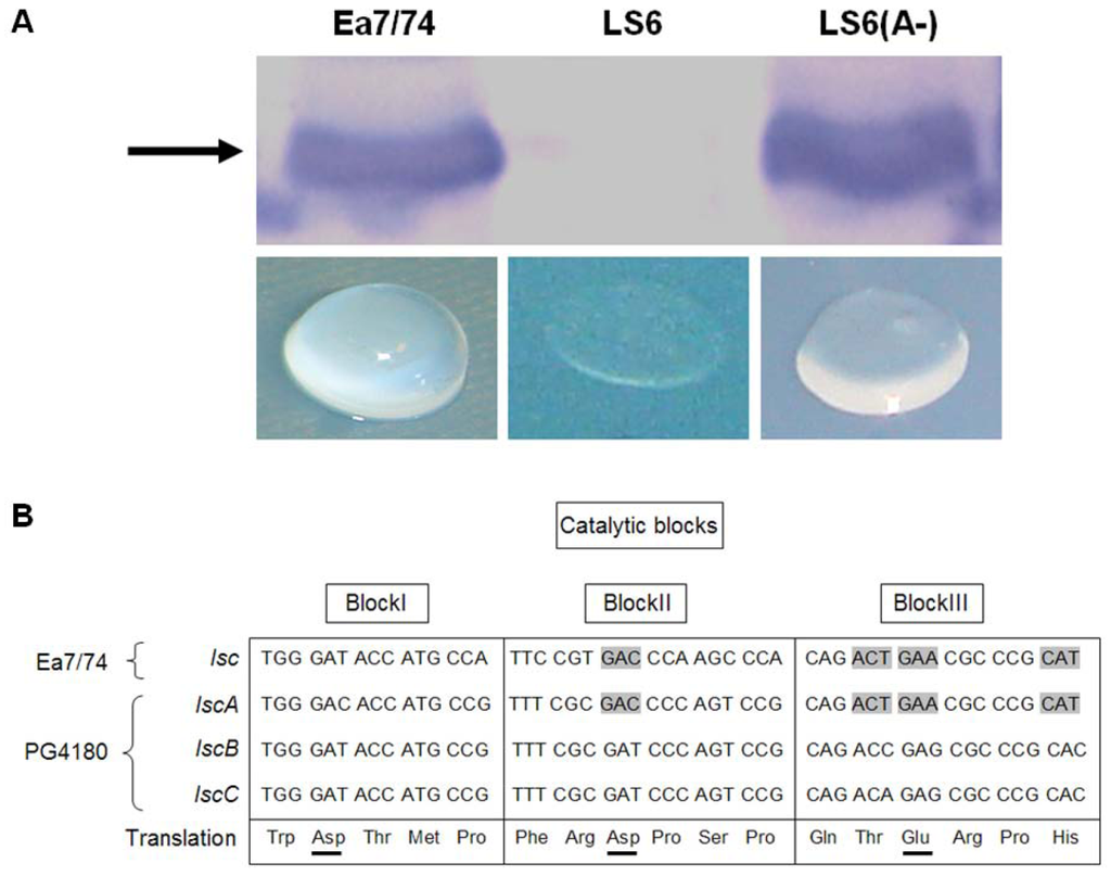 Genes 03 00115 g001 1024