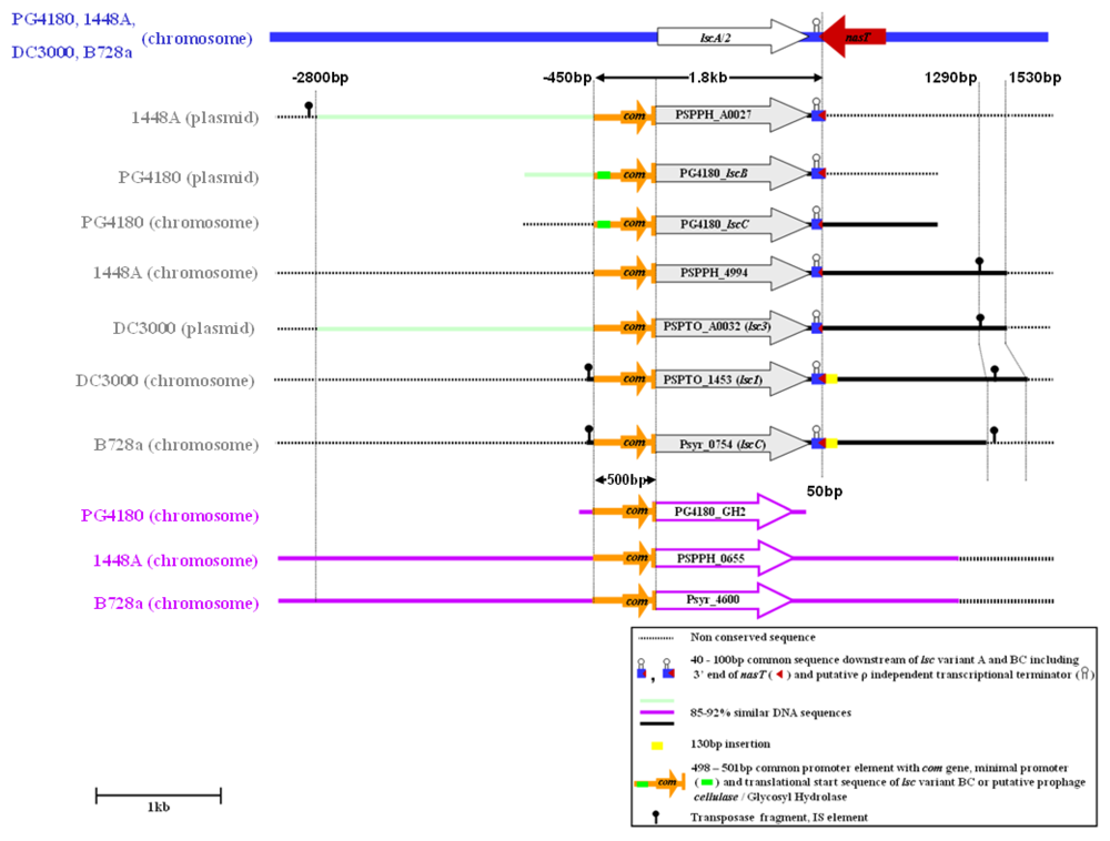 Genes 03 00115 g002 1024