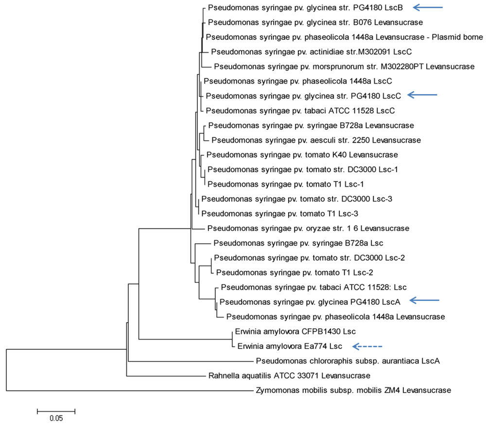 Genes 03 00115 g006 1024