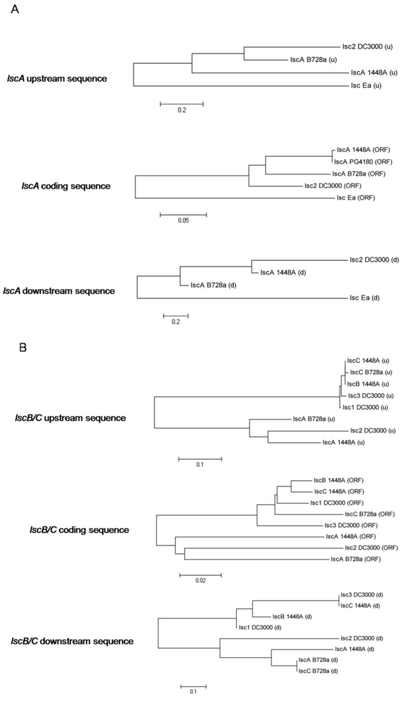 Genes 03 00115 g007 1024