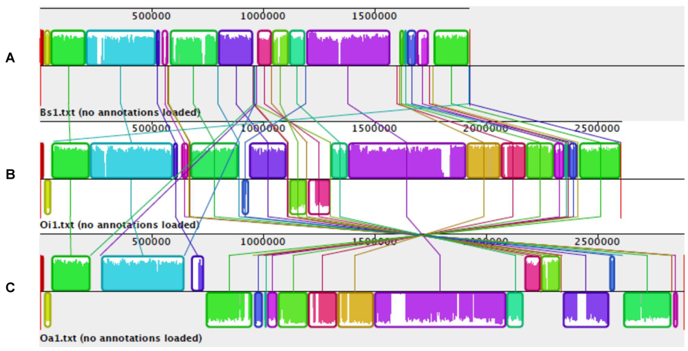 Genes 03 00191 g002 1024