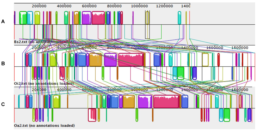 Genes 03 00191 g003 1024