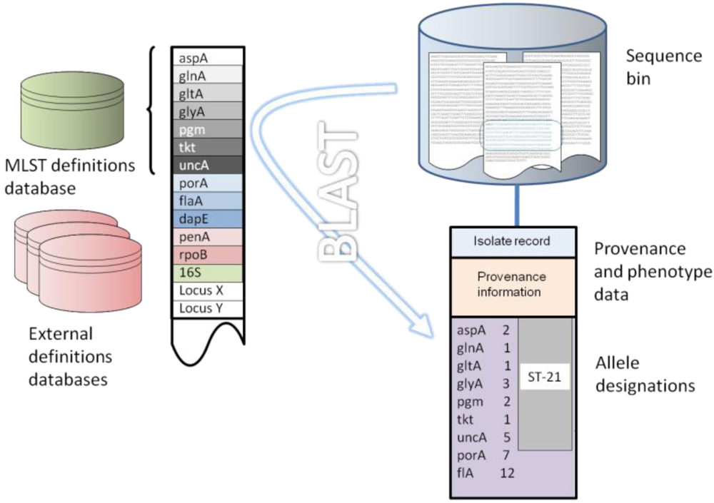 Genes 03 00261 g001 1024