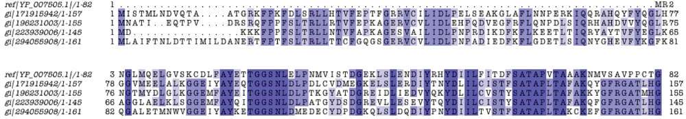 Genes 03 00291 g005 1024