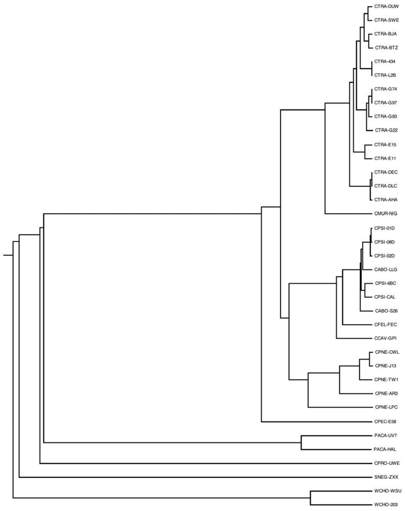 Genes 03 00291 g007 1024