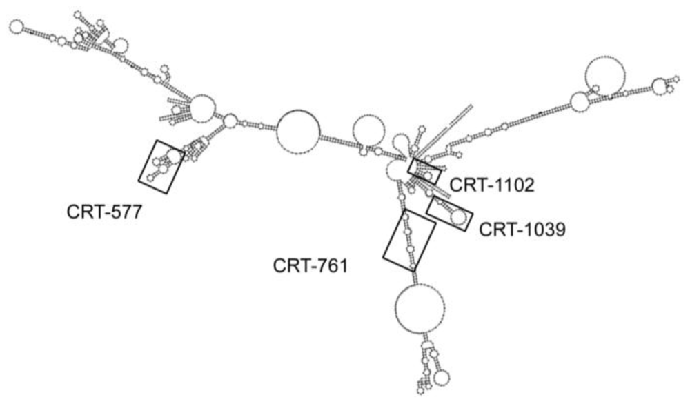 Genes 03 00391 g002 1024