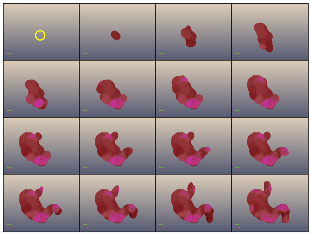 Genes 03 00492 g001 1024