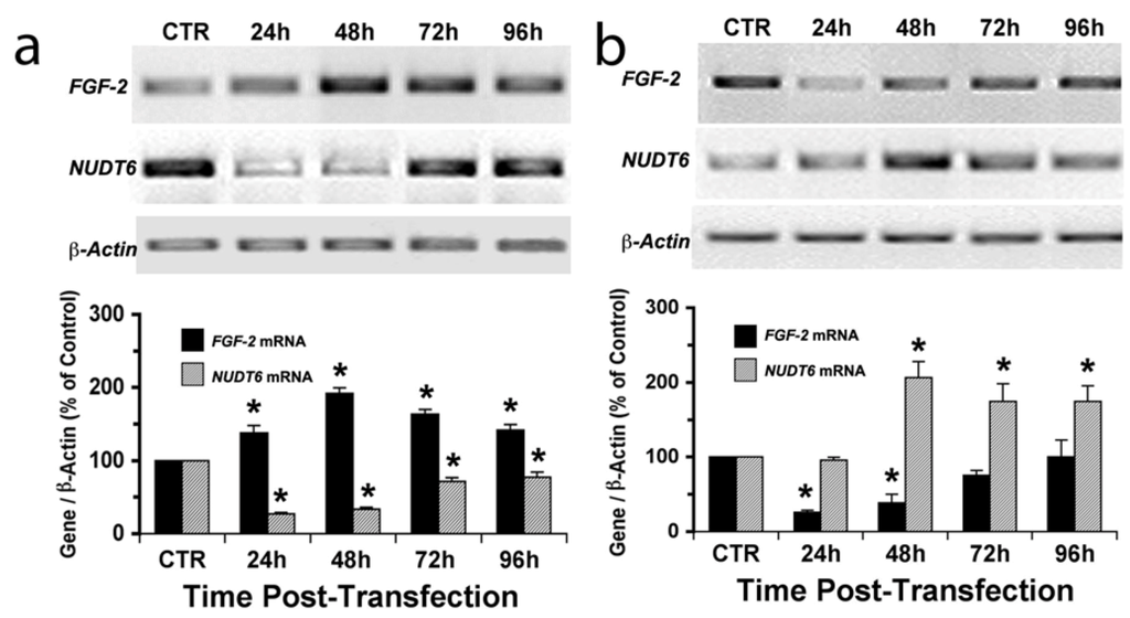 Genes 03 00505 g002 1024