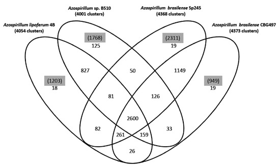 Genes 03 00576 g001 550