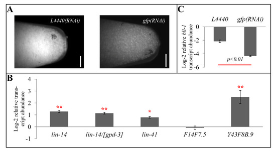 Genes 03 00671 g004 550