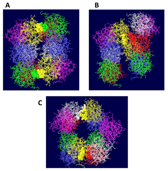 Genes 03 00742 g001 550