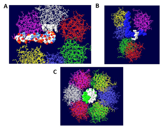 Genes 03 00742 g003 550