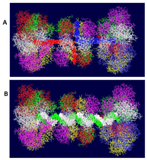 Genes 03 00742 g004 550