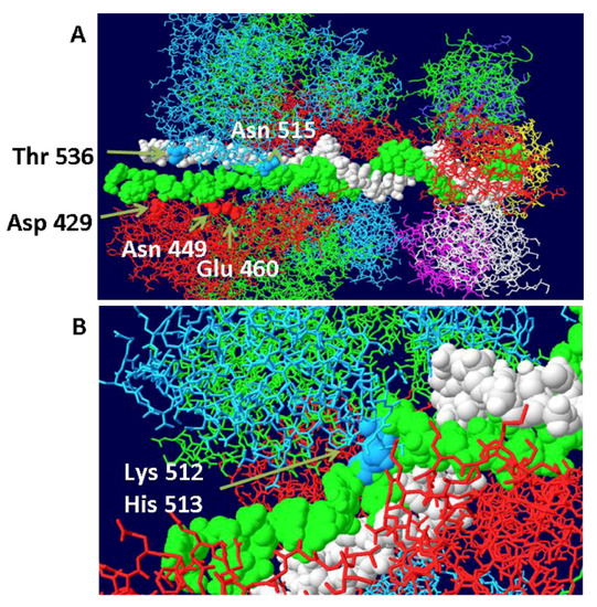 Genes 03 00742 g005 550