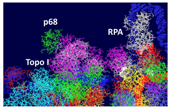 Genes 03 00742 g008 550